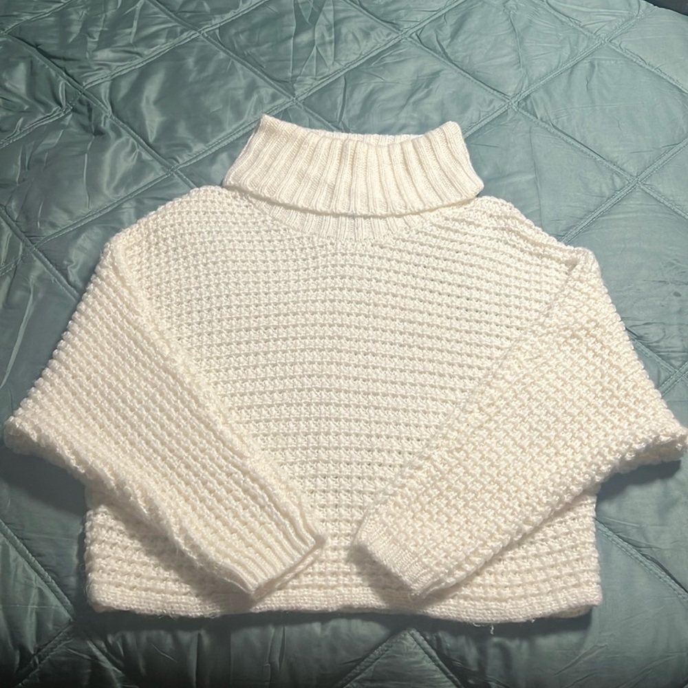 Express turtleneck Sweater